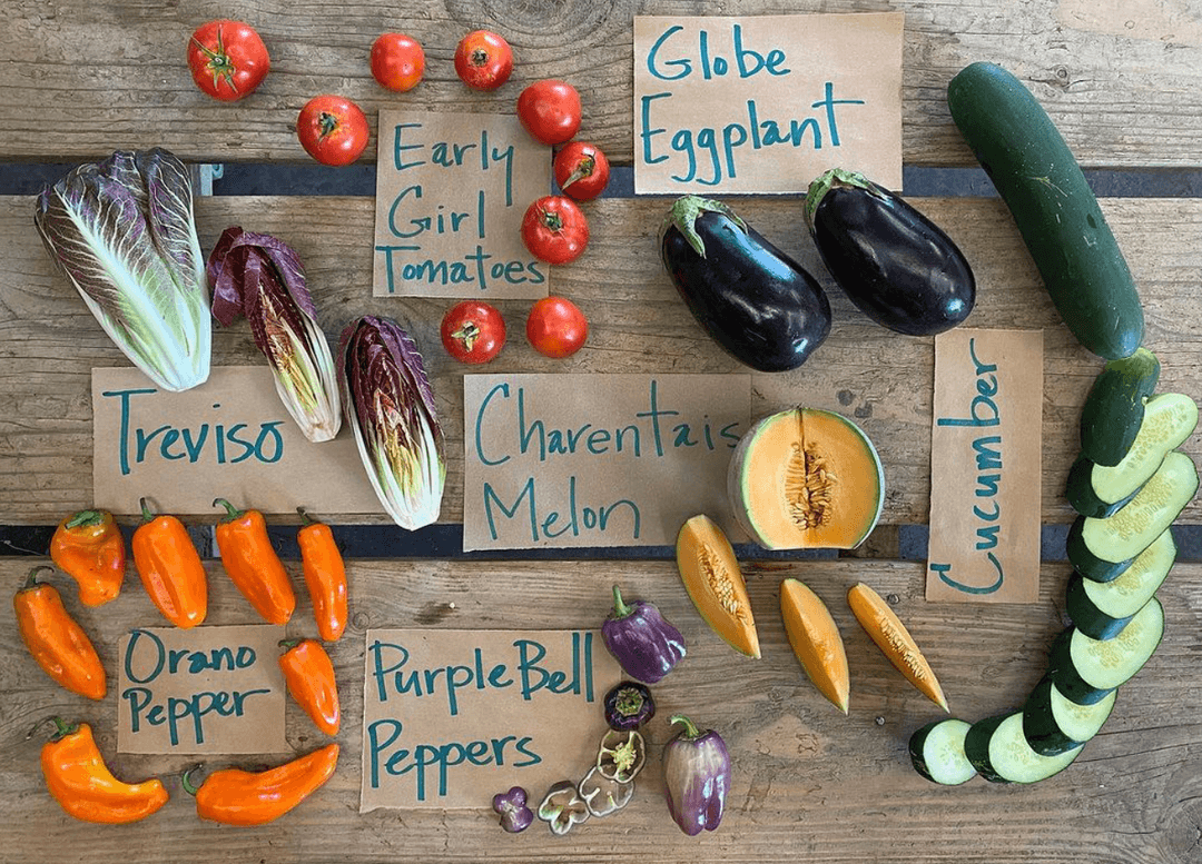 Riverdog Farm CSA Weekly Farm Boxes